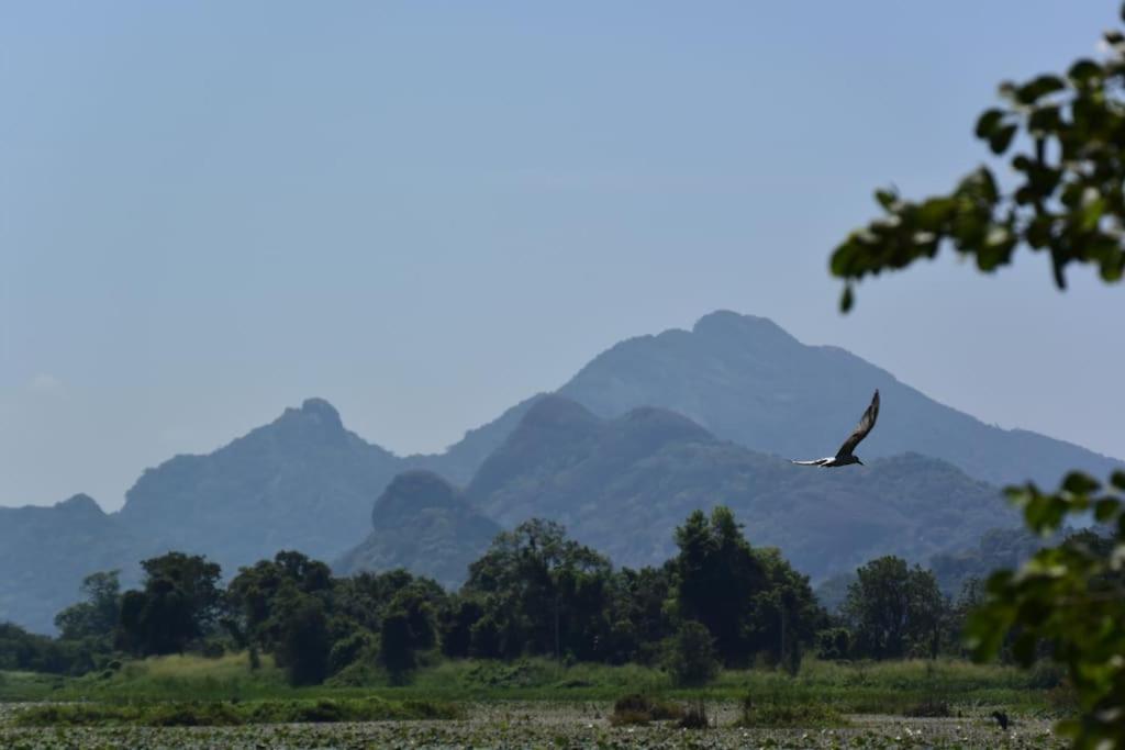 Sigiriya Village Home Stay Zewnętrze zdjęcie