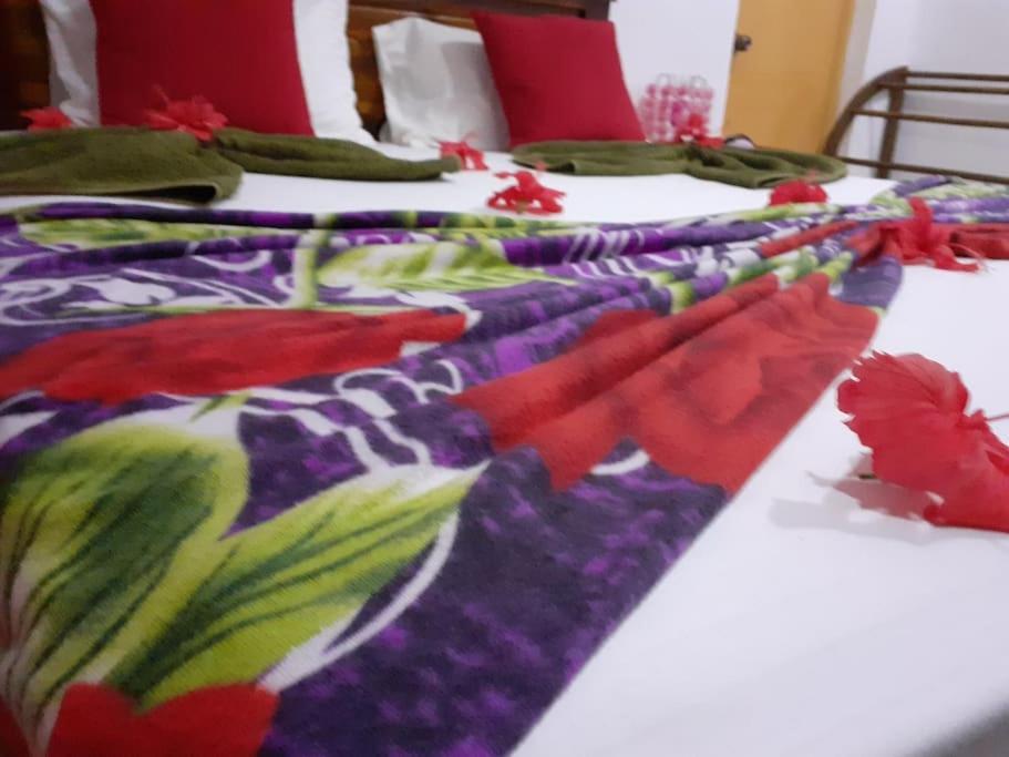 Sigiriya Village Home Stay Zewnętrze zdjęcie
