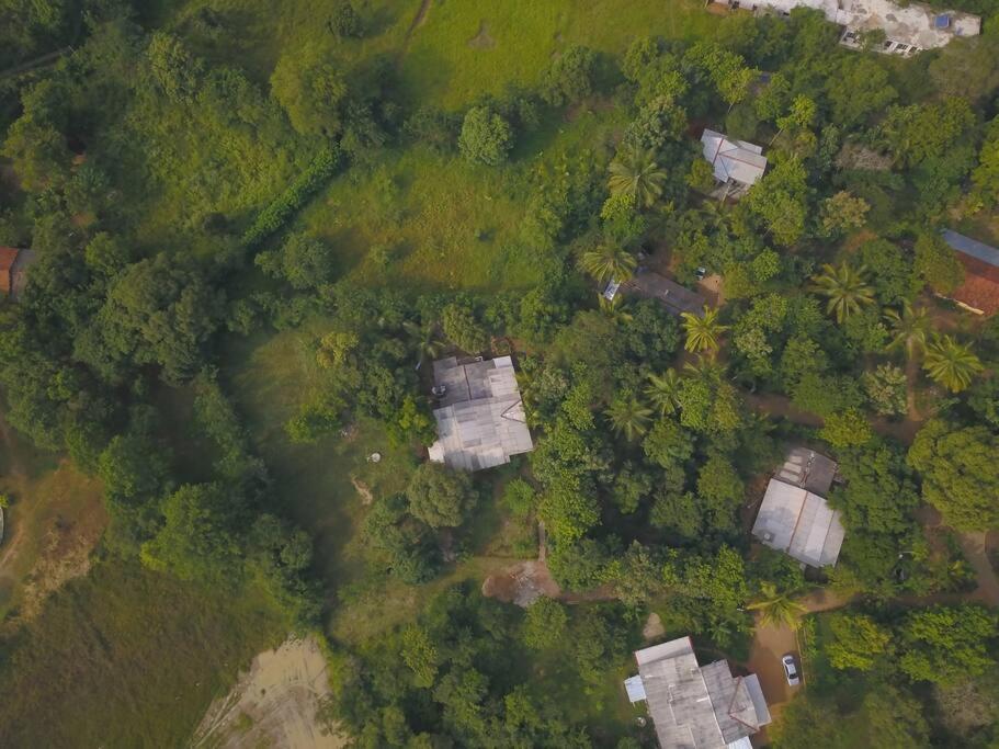 Sigiriya Village Home Stay Zewnętrze zdjęcie