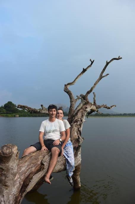 Sigiriya Village Home Stay Zewnętrze zdjęcie